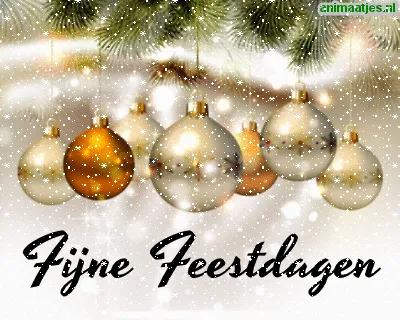 Kerstballen hangen aan een tak met sneeuw, met de tekst 'Fijne Feestdagen'.