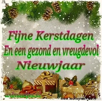 Tekst met 'Fijne Kerstdagen' en 'Een gezond en vreugdevoll Nieuwjaar' met kerstsfeer.