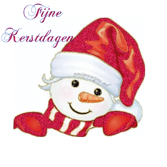 Tevreden sneeuwpop met een kerstmanmuts en de tekst 'Fijne Kerstdagen'.