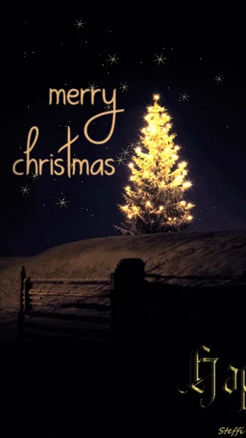 Kerstboom verlicht in het donker met de tekst "Merry Christmas".