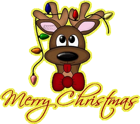 Een schattig rendier met kerstlichtjes en de tekst "Vrolijk Kerstfeest".