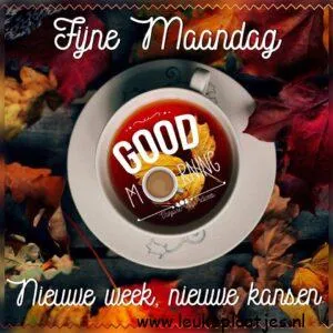 fijne maandag