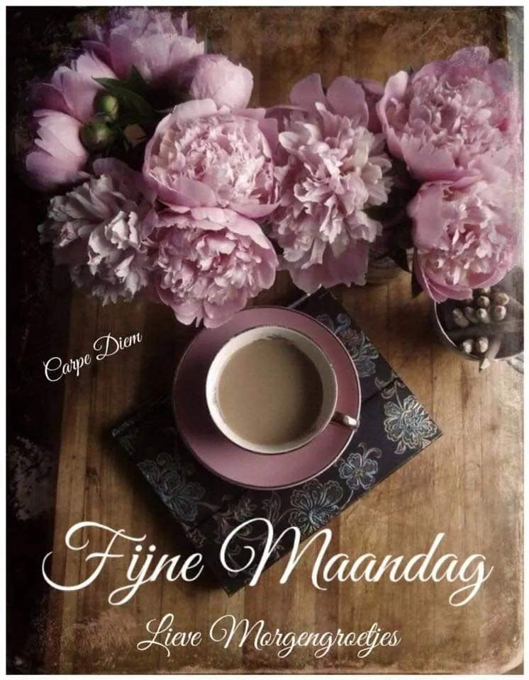 ᐅ fijne maandag - Maandag plaatjes ᐅ fijne maandag - Maandag plaatjes