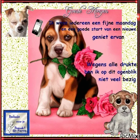 ᐅ fijne maandag - Maandag plaatjes ᐅ fijne maandag - Maandag plaatjes