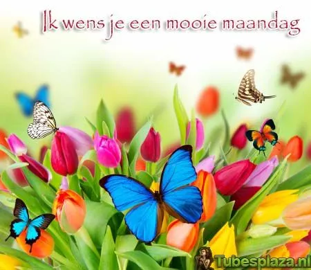 ᐅ fijne maandag bloemen - Maandag plaatjes ᐅ fijne maandag bloemen - Maandag plaatjes