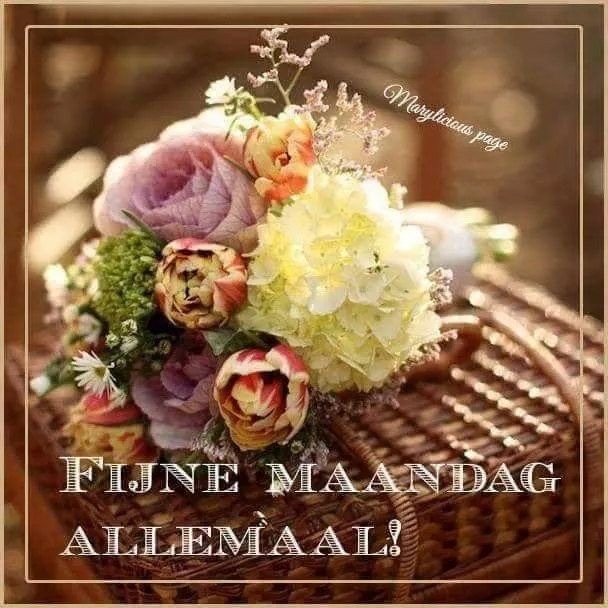 ᐅ fijne maandag bloemen - Maandag plaatjes ᐅ fijne maandag bloemen - Maandag plaatjes