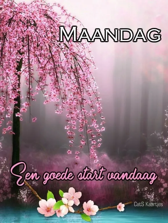 ᐅ fijne maandag bloemen - Maandag plaatjes ᐅ fijne maandag bloemen - Maandag plaatjes