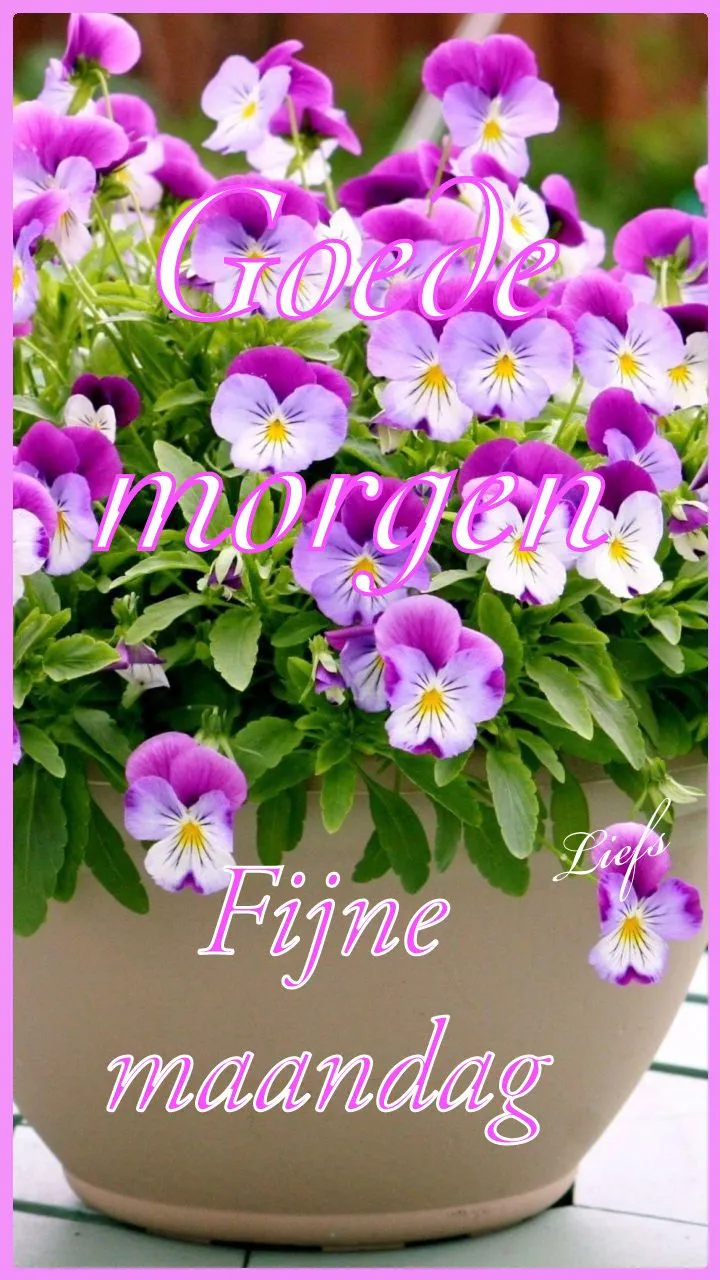 ᐅ fijne maandag bloemen - Maandag plaatjes ᐅ fijne maandag bloemen - Maandag plaatjes