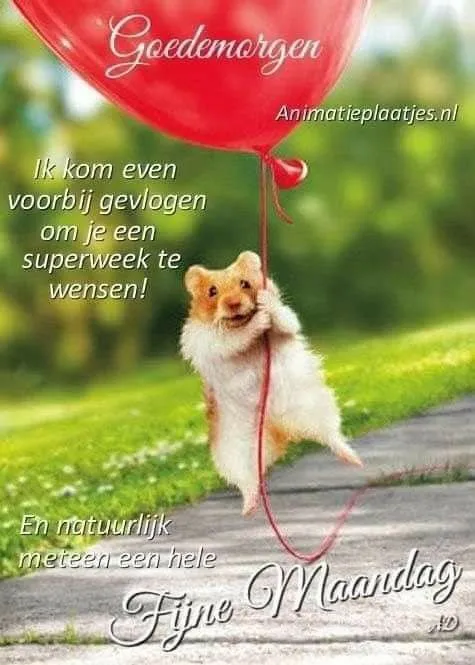 ᐅ fijne maandag bloemen - Maandag plaatjes ᐅ fijne maandag bloemen - Maandag plaatjes