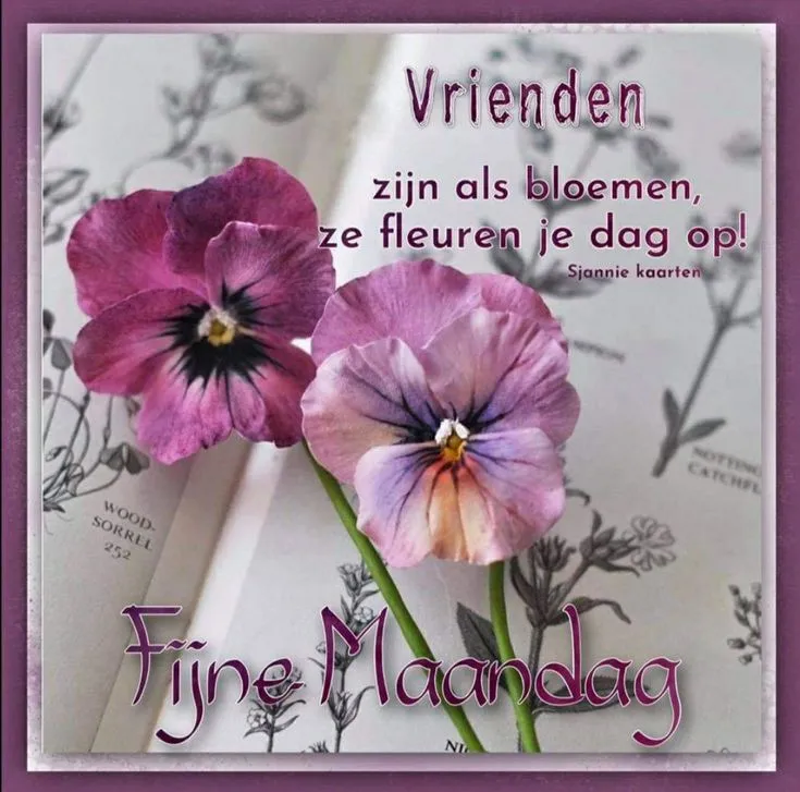 ᐅ fijne maandag bloemen - Maandag plaatjes ᐅ fijne maandag bloemen - Maandag plaatjes