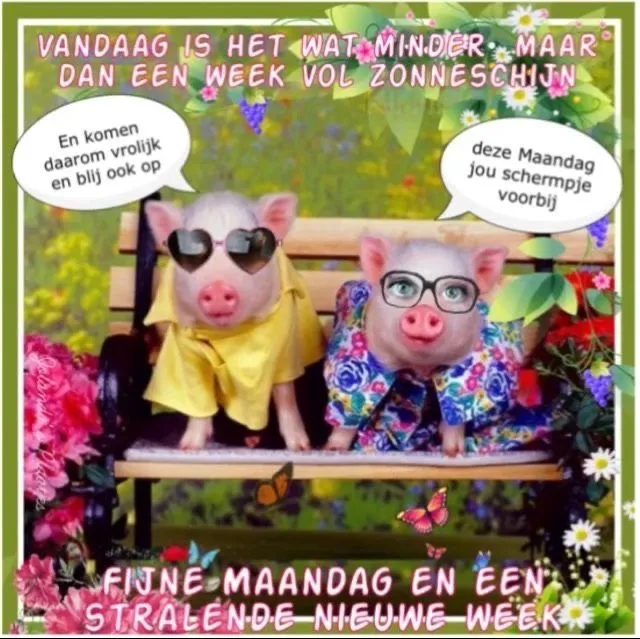 ᐅ fijne maandag bloemen - Maandag plaatjes ᐅ fijne maandag bloemen - Maandag plaatjes