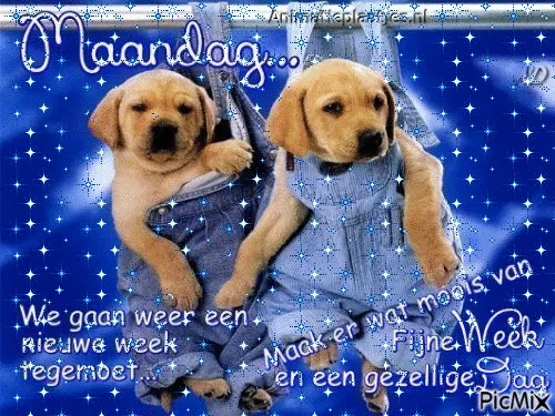 ᐅ fijne maandag gif - Maandag plaatjes ᐅ fijne maandag gif - Maandag plaatjes