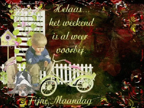 ᐅ fijne maandag gif - Maandag plaatjes ᐅ fijne maandag gif - Maandag plaatjes