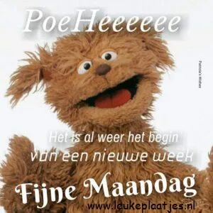 fijne maandag grappig