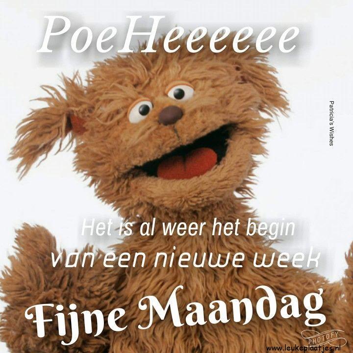 ᐅ fijne maandag grappig - Maandag plaatjes