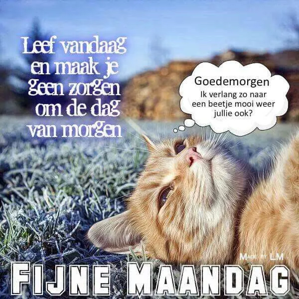 ᐅ fijne maandag grappig - Maandag plaatjes ᐅ fijne maandag grappig - Maandag plaatjes