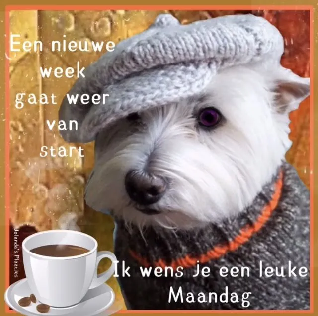 ᐅ fijne maandag grappig - Maandag plaatjes ᐅ fijne maandag grappig - Maandag plaatjes
