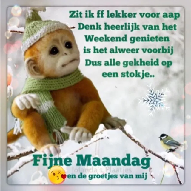 ᐅ fijne maandag grappig - Maandag plaatjes ᐅ fijne maandag grappig - Maandag plaatjes
