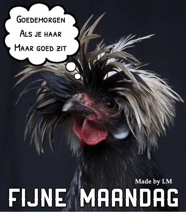 ᐅ fijne maandag grappig - Maandag plaatjes ᐅ fijne maandag grappig - Maandag plaatjes