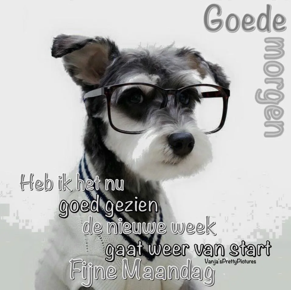 ᐅ fijne maandag grappig - Maandag plaatjes ᐅ fijne maandag grappig - Maandag plaatjes