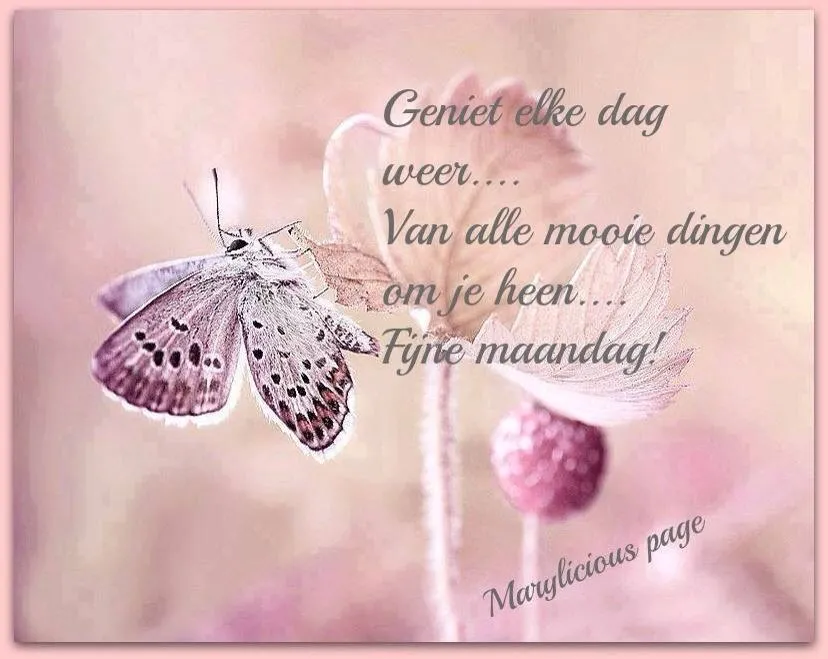 ᐅ fijne maandag grappig - Maandag plaatjes ᐅ fijne maandag grappig - Maandag plaatjes