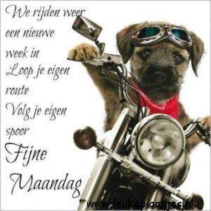 fijne maandag nieuwe week