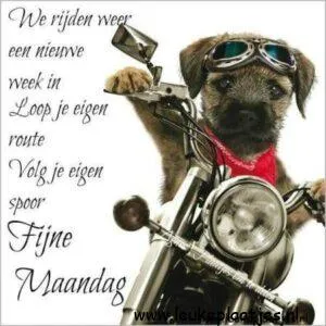 fijne maandag nieuwe week