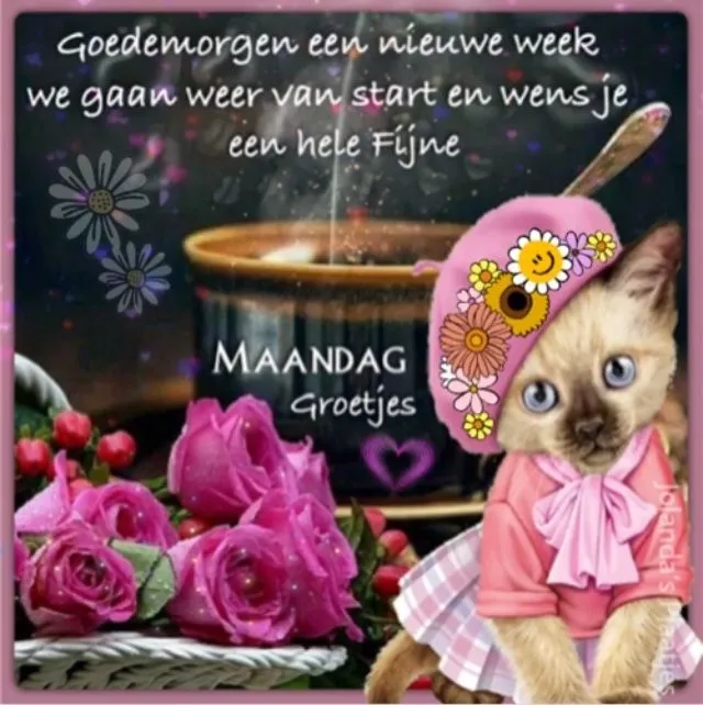 ᐅ fijne maandag nieuwe week - Fijne week plaatjes Illustratie met een kat in een hoed, bloemen en tekst 'Goedenmorgen, maandag'.