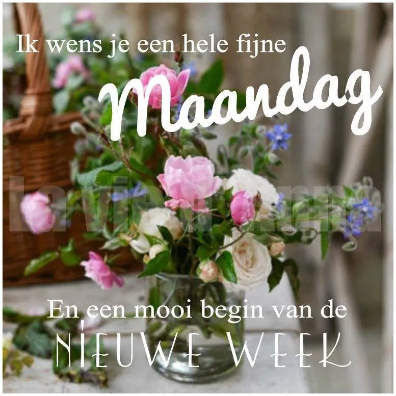 ᐅ fijne maandag nieuwe week - Fijne week plaatjes Een vaas met bloemen en de tekst "Fijne maandag, mooi begin van de nieuwe week."