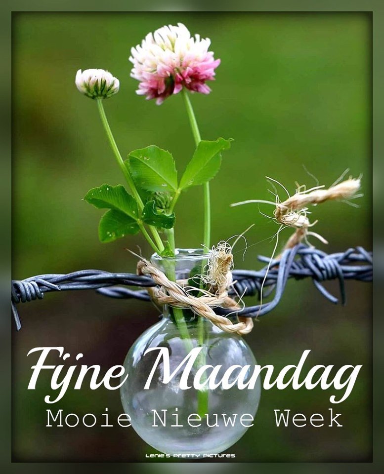 ᐅ fijne maandag nieuwe week - Maandag plaatjes