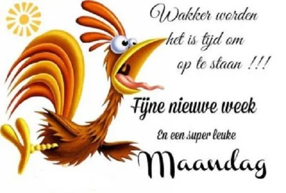 ᐅ fijne maandag nieuwe week - Fijne week plaatjes Kleurrijke haan met tekst over het begin van een nieuwe week.