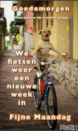 ᐅ fijne maandag nieuwe week - Fijne week plaatjes Een hond fietst vrolijk door een straat met de tekst: "Fijne Maandag".