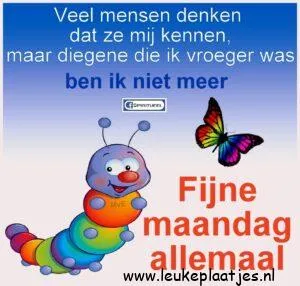 fijne maandag tekst