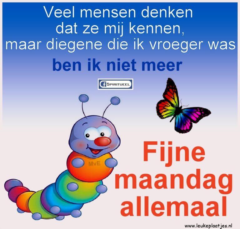 ᐅ fijne maandag tekst - Maandag plaatjes