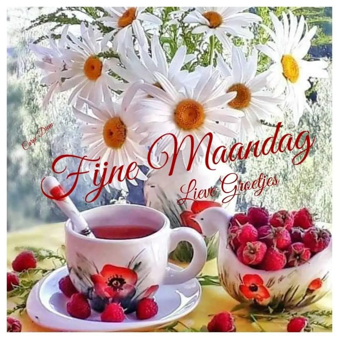 ᐅ fijne maandag tekst - Maandag plaatjes