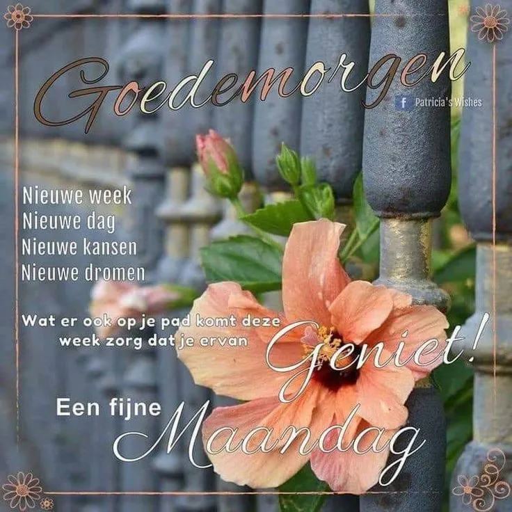 ᐅ fijne maandag tekst - Maandag plaatjes