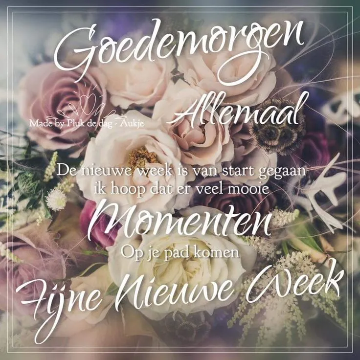 ᐅ fijne maandag wensen - Maandag plaatjes