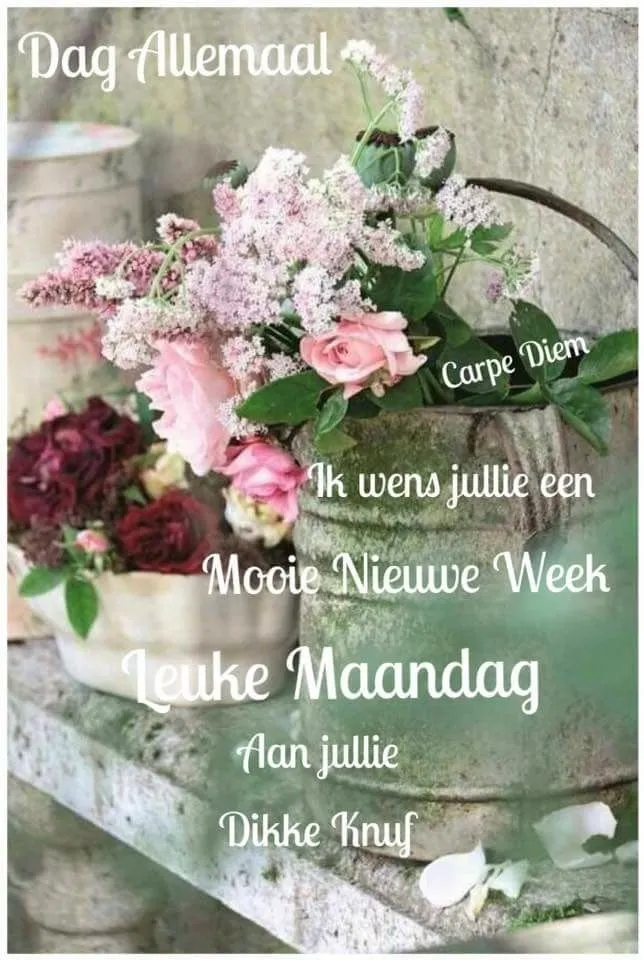 ᐅ fijne maandag wensen - Maandag plaatjes