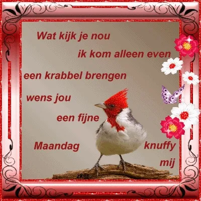 ᐅ fijne maandag wensen - Maandag plaatjes