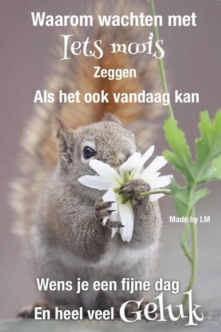 ᐅ fijne maandag wensen - Maandag plaatjes