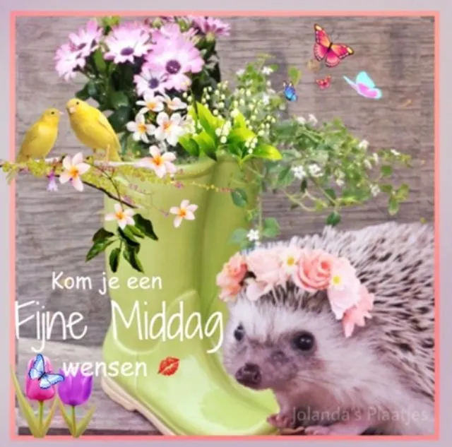 Een egel met bloemen en een laarzenvaas, met tekst voor een fijne middag.