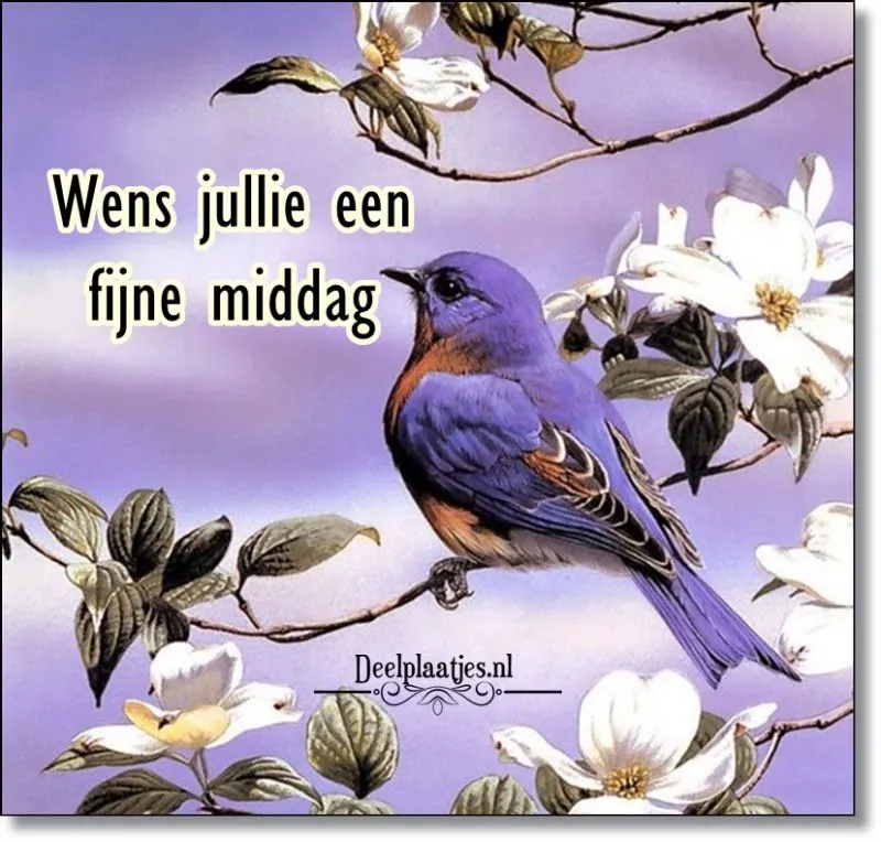 Blauwe vogel zit op een tak met bloemen en wenst een fijne middag.