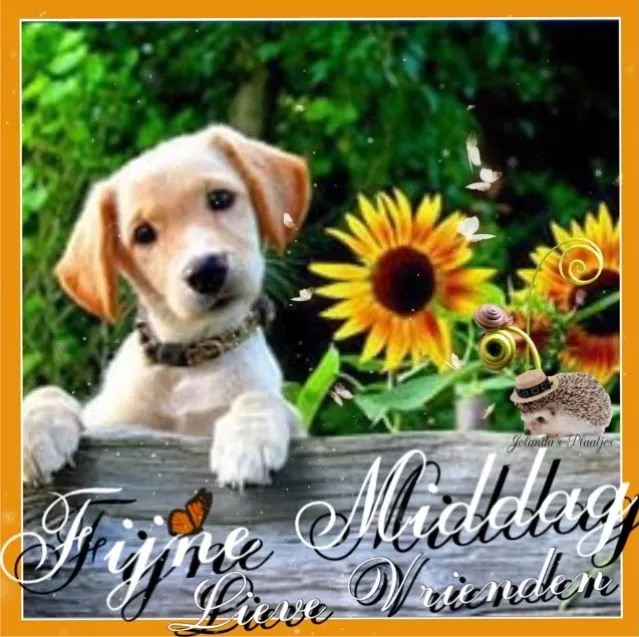 Een schattige puppy leunt op een houten hek met zonnebloemen op de achtergrond.