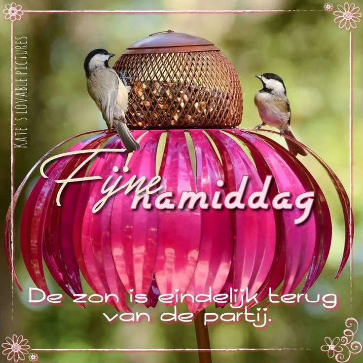 Roze ornament met twee vogels, zon verschijnt weer. Tekst: 'Fijne namiddag'.