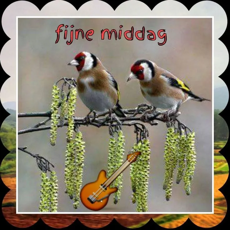 Twee putters zitten op een tak met bloeiende catkins, met tekst "fijne middag".