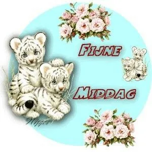 Twee schattige witte tijgerwelpen met bloemen en de tekst "Fijne Middag".
