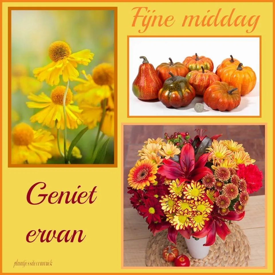 Verschillende bloemen, pompoenen en een vrolijk boeket. Tekst: "Fijne middag, Geniet ervan."