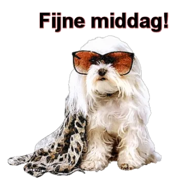 Hond met zonnebril en schuildoek, zit op een zwarte achtergrond.