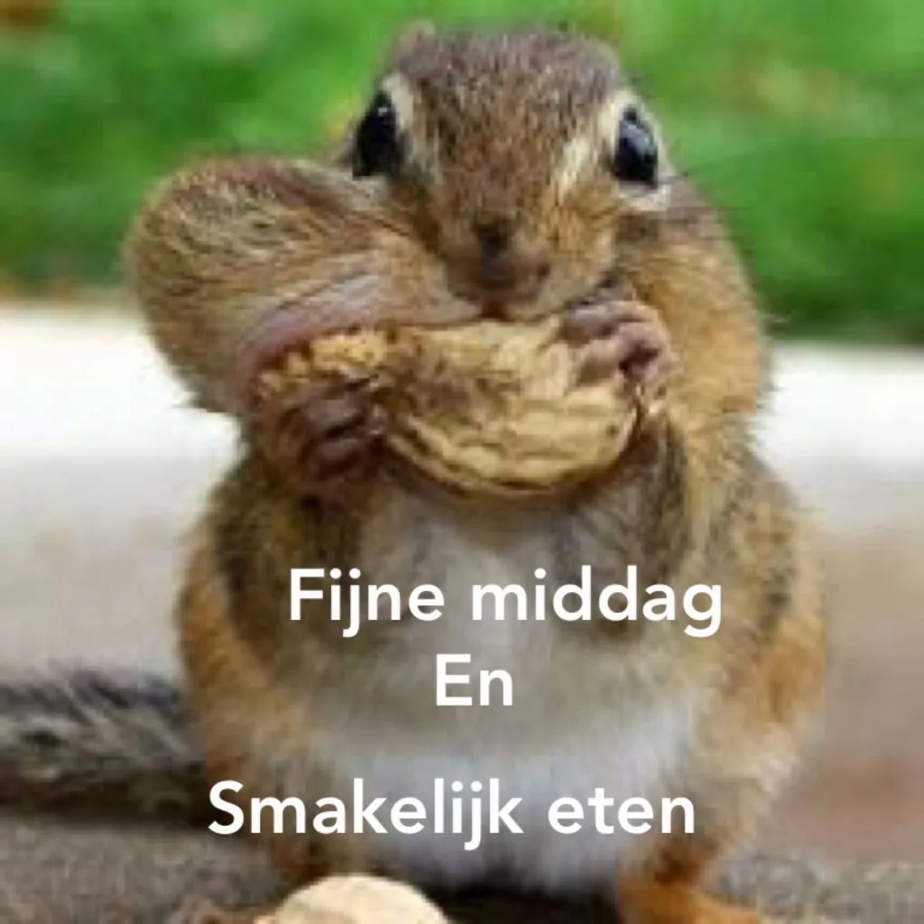 Een eekhoorn die een noot vasthoudt en eet in een groene omgeving.