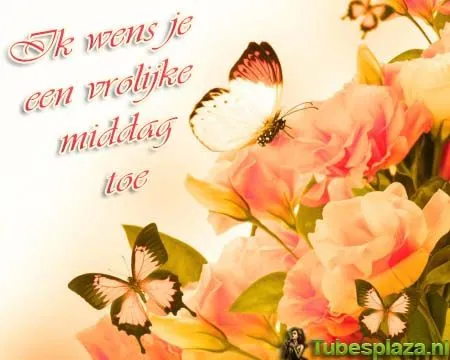 Rozen met vlinders en de tekst "Ik wens je een vrolijke middag toe".